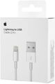 Original Apple Ladegerät Kabel Netzteil Lightning To USB | 2 Meter 