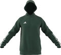 adidas Tiro 23 Competition Hoodie Herren dunkel grün