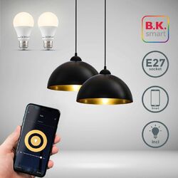 Pendelleuchte Retro schwarz-gold Hängeleuchte WiFi Smart App & Voice Control 9W