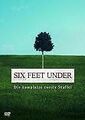 Six Feet Under - Gestorben wird immer, Die komplette zwei... | DVD | Zustand gut