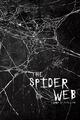 The Spider Web Lubna E. Atallah Taschenbuch Paperback Englisch 2024