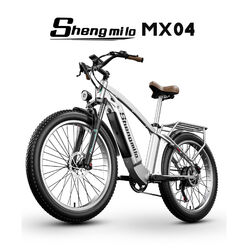 26 Zoll Elektrofahrrad 500W Fat Reifen 48V 15AH Snow E Mountainbike E-Bike MTB