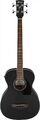 Ibanez PCBE14MH-WK - Akustik Bassgitarre - Weathered Black