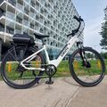 Eskute 26'' Elektrofahrrad eBike mit Bafang Motor E-citybike 250W 36V/20AH 7Gäng