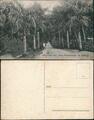 Postcard Sabang Weg naar het ,,Nias Kampement" Aceh Indonesia 1911