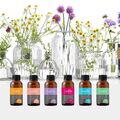 100 % reine natürliche ätherische Öle Aromatherapie-Raumduftöl-Diffusoren