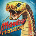 MAMBA PERCUSSIONS - s.t.