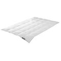 Badenia Trendline Daunendecke Princess medium Größe 155x220 cm Ganzjahresdecke