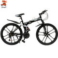 Mountainbike 26 Zoll mit 21 Gang und Scheibenbremse Fahrrad MTB Unisex, Alu Bike