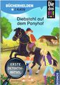 Anne Scheller Die drei !!!, Bücherhelden 2. Klasse, Diebstahl auf dem Ponyhof