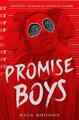 Nick Brooks Promise Boys (Gebundene Ausgabe)