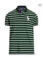 POLO RALPH LAUREN GREENSMAN POLOSHIRT - GRÜN XL