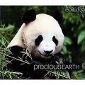 Precious Earth von Michael Maxwell | CD | Zustand gut
