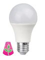 Bioledex GoLeaf LED Pflanzenlampe Vollspektrum E27 A60 9W Pflanzenbeleuchtung