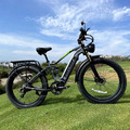 1000W Elektrofahrrad 26 Zoll Ebike Mountainbike Fatbike E-Fahrrad 45km/h Pedelec