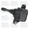 Zündspule Meat & Doria für Renault Megane CC + Scenic III + Megane 09-16 10578