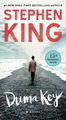 Stephen King Duma Key (Taschenbuch) (US IMPORT)