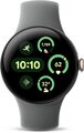 Google Pixel Watch 3 SmartWatch (45mm) WiFi 