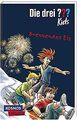 Die drei ??? Kids 40: Brennendes Eis (40) von Blanck, Ulf | Buch | Zustand gut