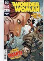 DC COMICS WONDER WOMAN VOL. 5 #66 MAI 2019 SCHNELLER VERSAND AM SELBEN TAG