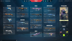 Valorant Account eu 450€ worth Skins +300 vp on account 