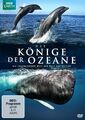 Die Könige der Ozeane (DVD)