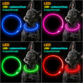 LED Hundehalsband / CLIP wiederaufladbar für alle Größen USB Halsband elanox neu