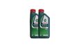 Castrol Magnatec 10W-40  A/B  VW 501 01/ 505 00, MB-229.3 2x1Liter