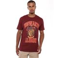 Warner Herren T-Shirt Harry Potter Gryffindor Alumni Top T-Shirt S-2XL offiziell