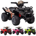 Quad ATV Elektroquad Kinderquad 6V Akku Kinderauto Motorrad