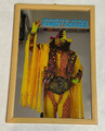 Vintage WWE Wrestling Spiegel Bild Glas Poster - Macho Man Randy Sa - 32 x 22 cm