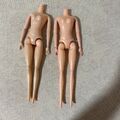 1/6 scale articulated doll bodies, pale skin tone