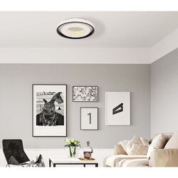 LED Decken Lampe dimmbar Wohn Zimmer Fernbedienung Tageslicht Leuchte 50 cm