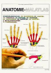 Anatomie - Malatlas von Kapit, Wynn, Elson, Lawre... | Buch | Zustand akzeptabelGeld sparen & nachhaltig shoppen!