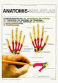 Anatomie - Malatlas von Kapit, Wynn, Elson, Lawre... | Buch | Zustand akzeptabel