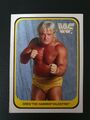 WWF Trading card Sammelkarte Nr. 16 1991 Merlin GREG VALENTINE Wrestling Hasbro