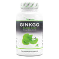 365x Tabletten Ginkgo Biloba 6000mg Konzentration Ginko Gingo Gingko - Vegan