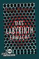 Das Labyrinth erwacht: Limitierte Jubiläumsausgab... | Buch | Zustand akzeptabel