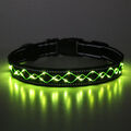 Hundehalsband LED Halsband Blinklicht wiederaufladbar USB TOP Qualität 6 Farben