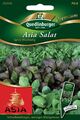 Asia-Salat Spicy Mischung Samen von Quedlinburger Saatgut