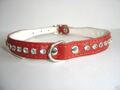 HUNDE -  HALSBAND, Halsumfang 22-28cm, Strass Zirkonia+Leder (PL.13-3-1-42)