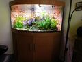 Aquarium 350 Liter von Juwel