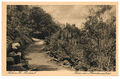 Postkarte Thale Harz Bodetal Hexentanzplatz ca. 1920