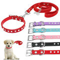 Strasshalsband Hundehalsband mit Leine Wildleder Katzen Welpengeschirr XXS XS S