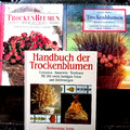 Konvolut: 2x TrockenBlumen/Sommerträume + Handbuch der Trockenblumen Weihnachten