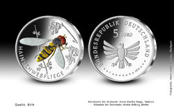 5 Euro  - Serie   -  Wunderwelt der Insekten - 2022 - 2024