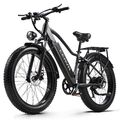 26 Zoll Elektrofahrrad E Mountainbike 1000W E-Bike 48V 20AH Akku Trekking eBike