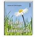 Der Weg zum Lebensglück von Saint-Exupéry, Antoine de | Buch | Zustand sehr gut