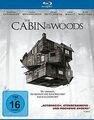 The Cabin in the Woods [Blu-ray] von Goddard, Drew | DVD | Zustand sehr gut