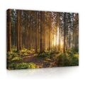 WALD NATUR LANDSCHAFT Wandbilder Wohnzimmer Leinwand Bilder Canvas Wandbild 66